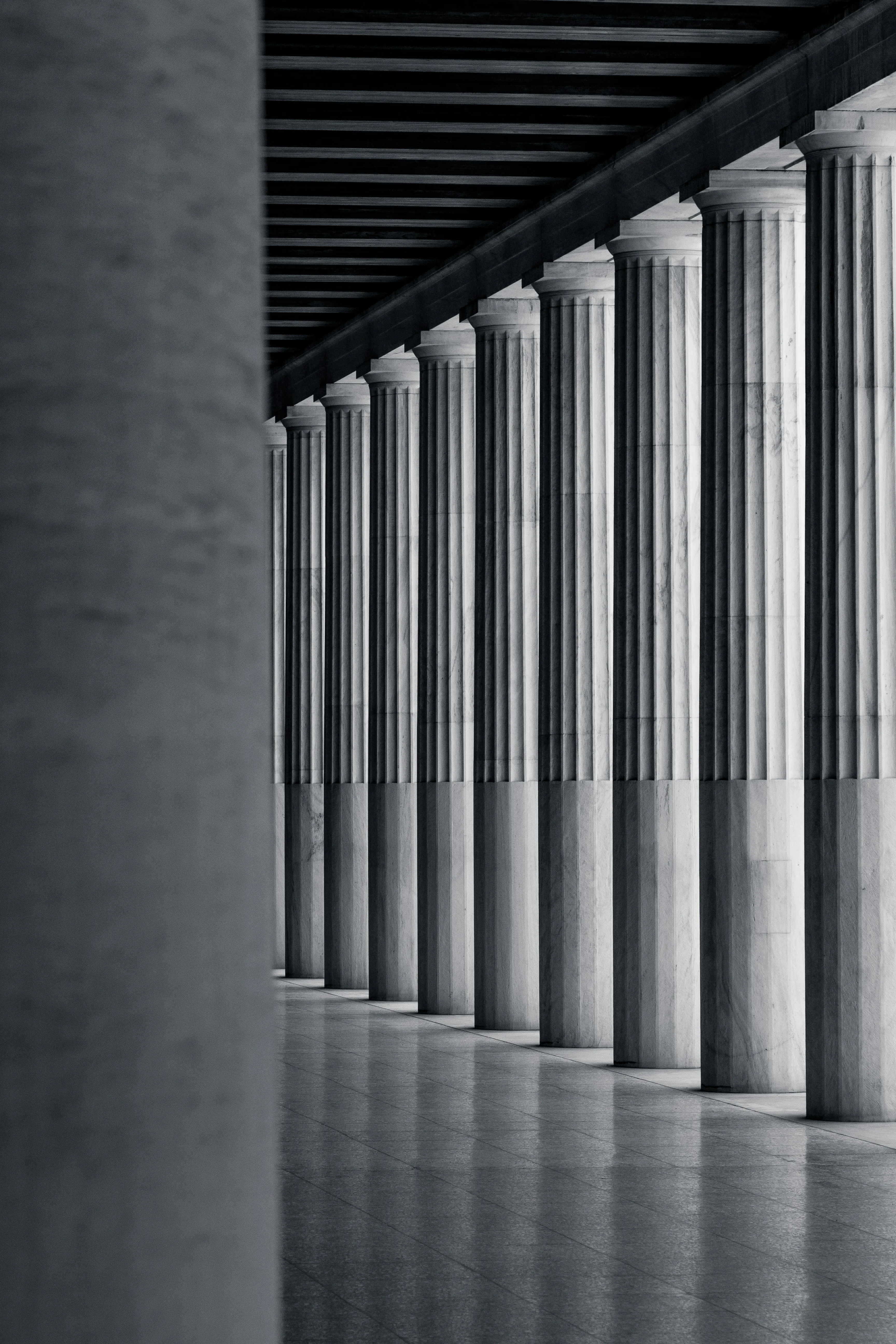 Our Scientific Pillars
